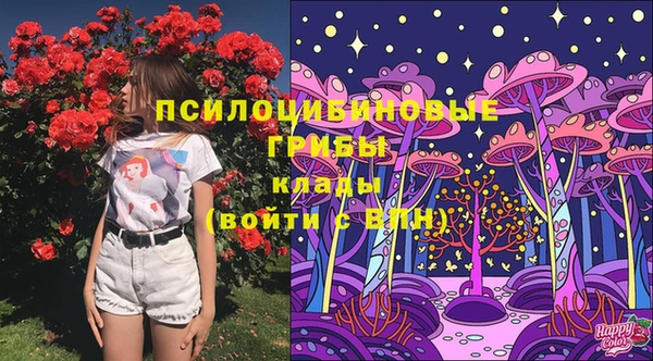 стаф Белоозёрский