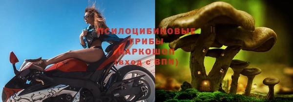 тгк Богородск