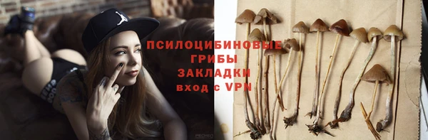 стаф Белоозёрский