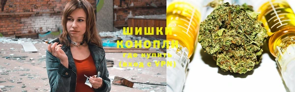 тгк Богородск