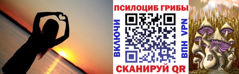 Псилоцибиновые грибы Psilocybine cubensis купить наркоту Богородицк